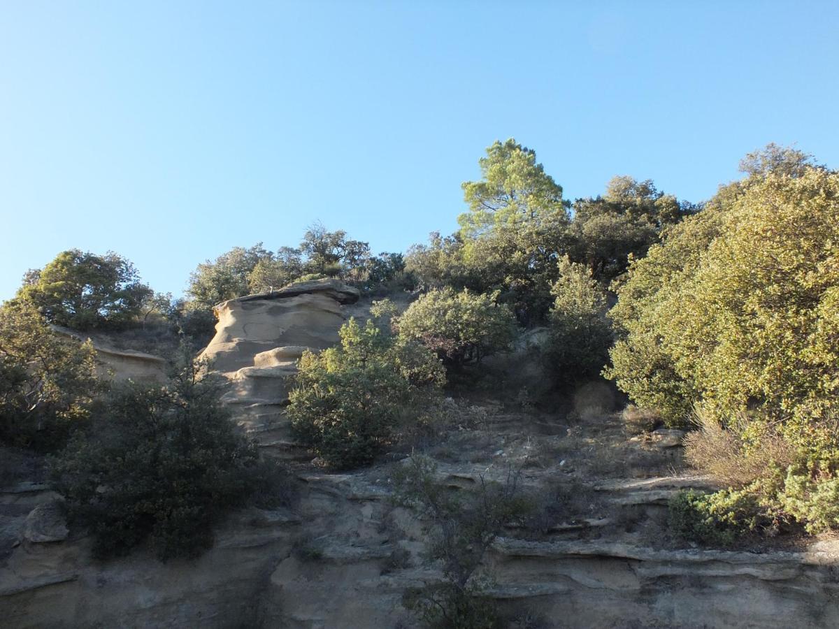 Une Ronce Sous Le Figuier Rousset-les-Vignes Exteriér fotografie